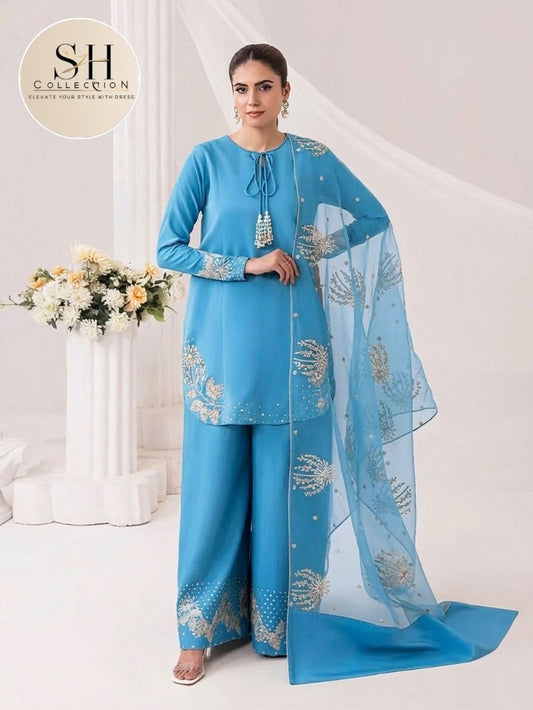 Heavy Sequence Border and Sleeves Embroidery with Embroidered Flapper