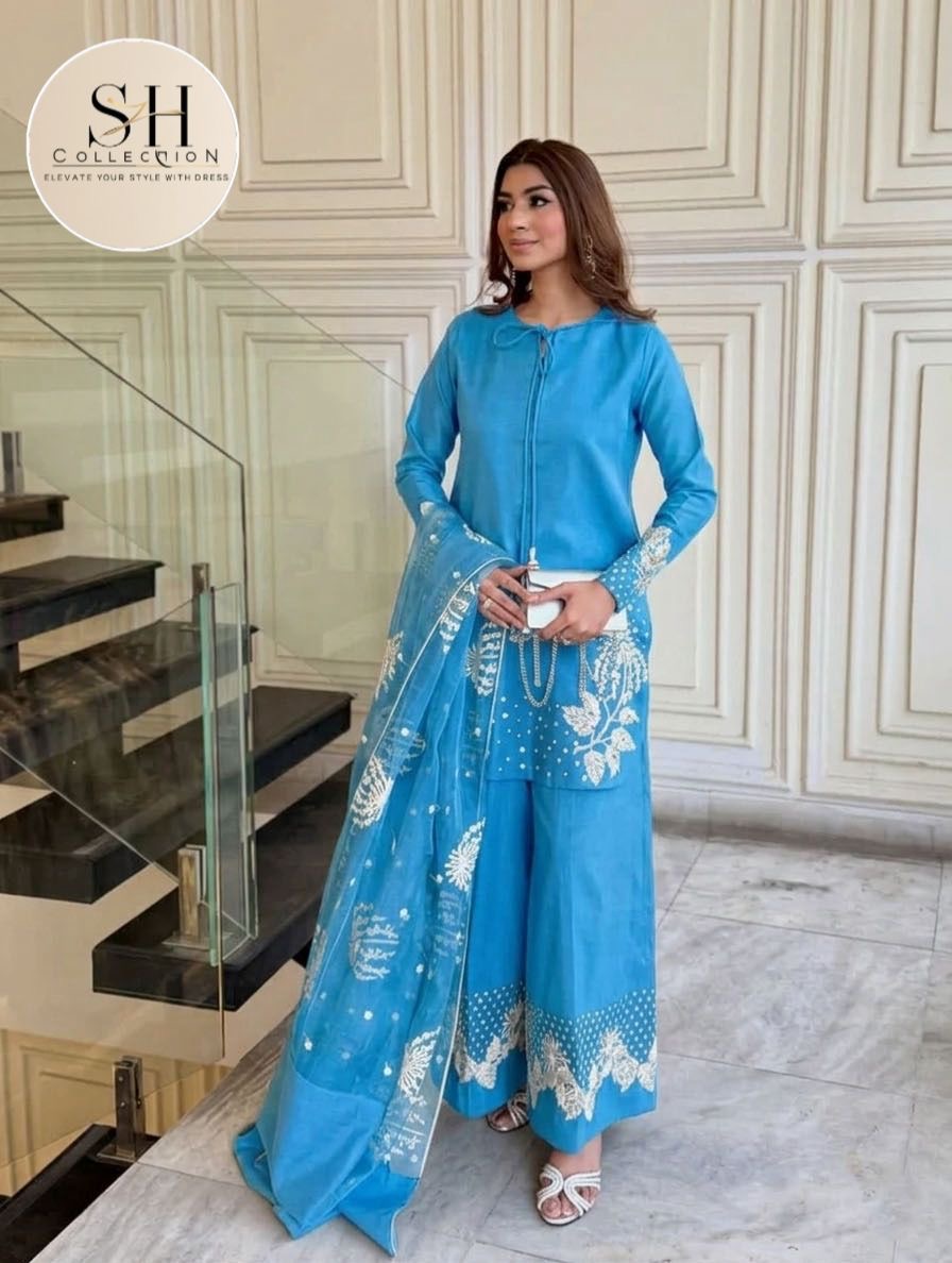 Heavy Sequence Border and Sleeves Embroidery with Embroidered Flapper