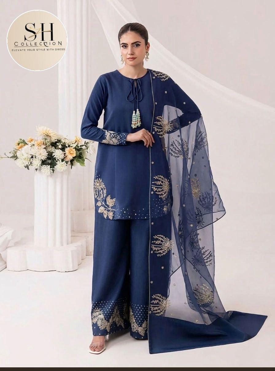 Heavy Sequence Border and Sleeves Embroidery with Embroidered Flapper